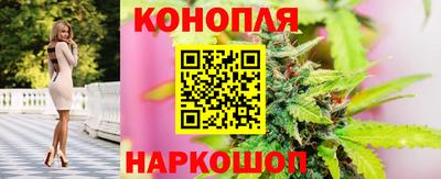 спиды Нальчик