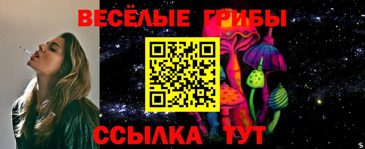 Галлюциногенные грибы ЛСД  Вход с VPN  Галлюциногенные грибы Psilocybine cubensis  Тамбов 