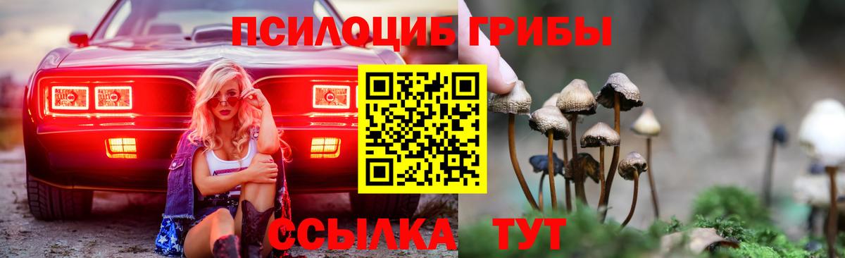 Галлюциногенные грибы GOLDEN TEACHER Тамбов